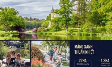 Tổ hợp nhà phố, biệt thự Swanbay Oasia Đại Phước (2)